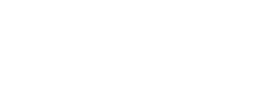 L'Arca International